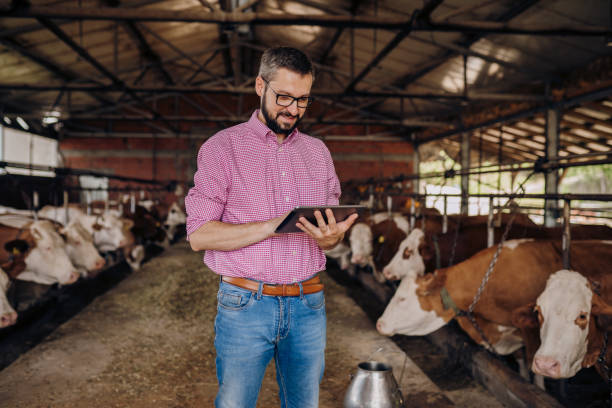 istock My dairy products are here 2163312109