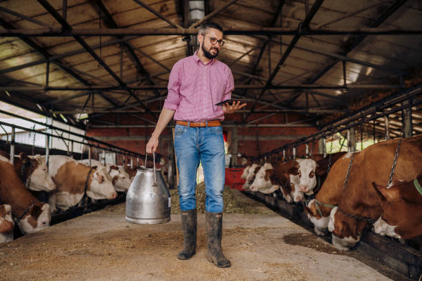 istock My dairy products are here 2163312389