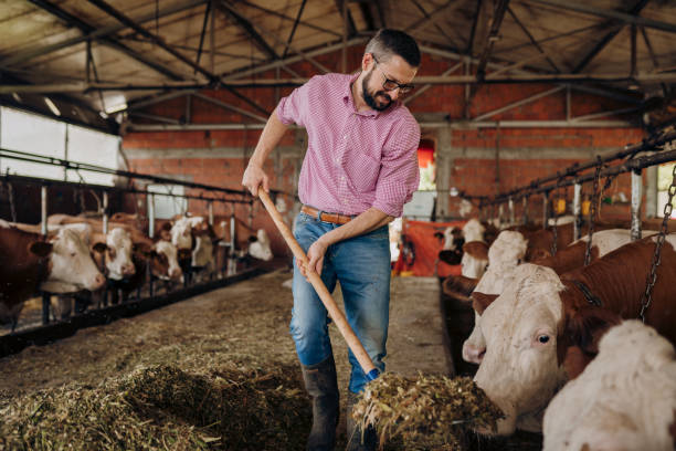 istock My dairy products are here 2163312495