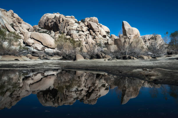 istock Barker Dam Lake - Joshua Tree National Park 3 2163322309
