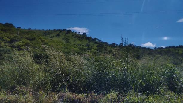 istock Mountains covered with vegetation and cloudless blue sky 2163323574