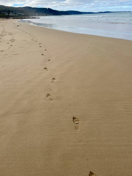 istock Footprints in the sand on the beach Loree Australia 2163334567