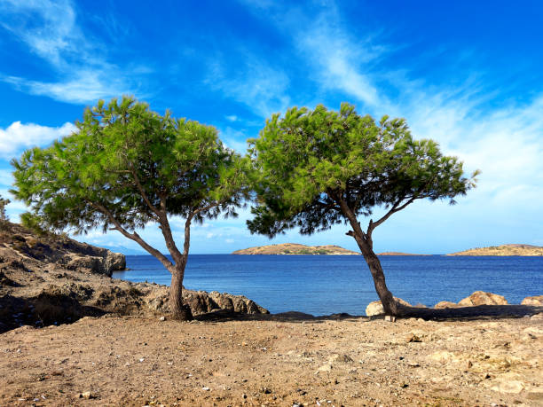 Sunny seaside landscape over blue sky in Foca, Izmir, Aegean Turkey