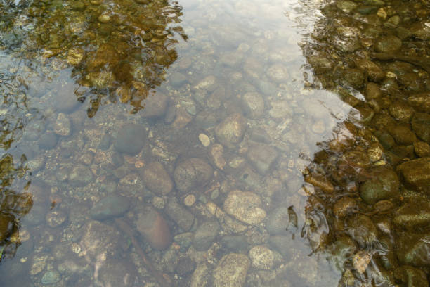 Calming water with reflection, and river rocks from the top in a day in Port Coquitlam, Canada