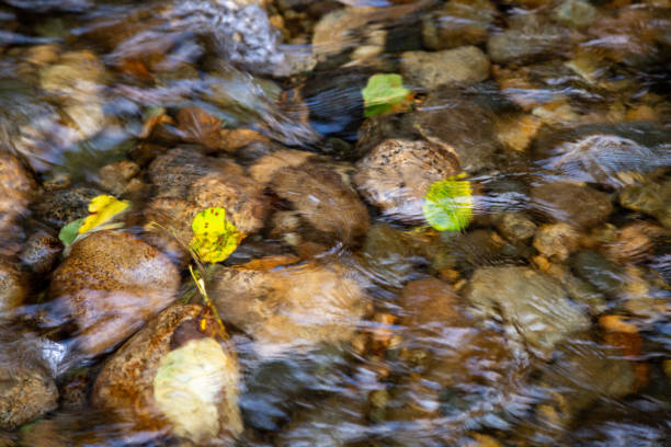 Water in movement and river rocks from the top in a day in Port Coquitlam, Canada