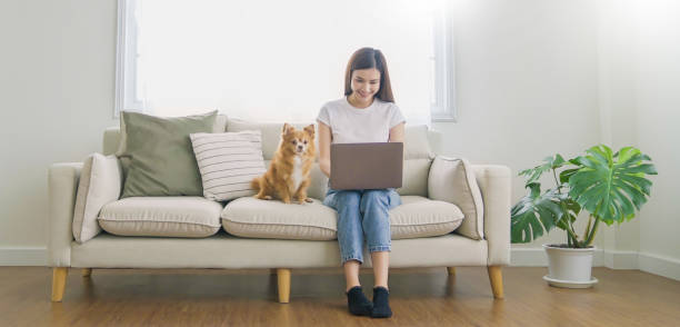 istock Asian beautiful lady with bwork at the notebook sit down on the sofa at home, technology woman concept for alternative office freelance, happy Asian woman using laptop on her lap with pet dog banner 2163349671