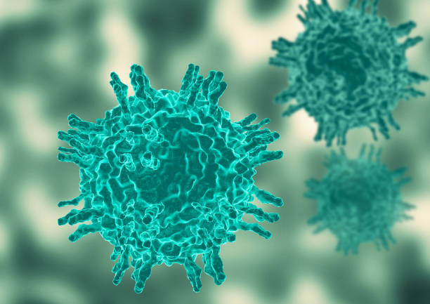 Morbillivirus is the virus that causes the infectious disease known as measles. 3D Illustration