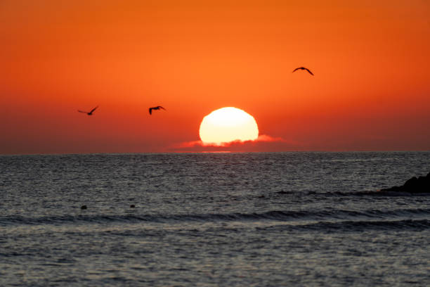 istock beautiful sunrise in the sea 2163352446