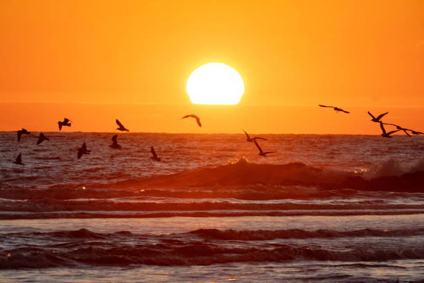 istock beautiful sunrise in the sea 2163353157