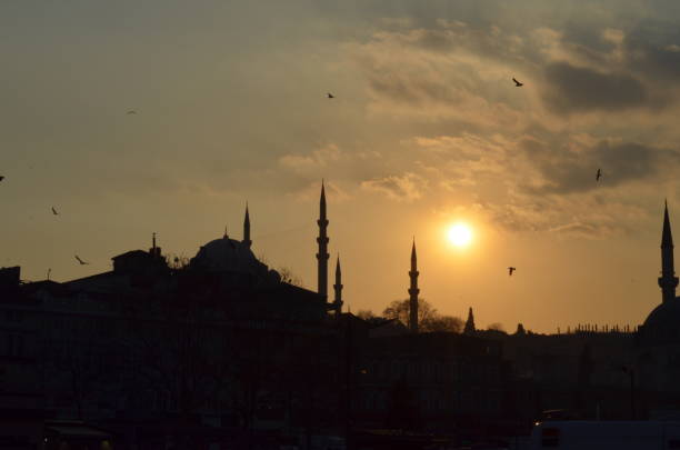 istock Sunset in Istanbul: Mosque, Birds, and City Silhouette 2163355660