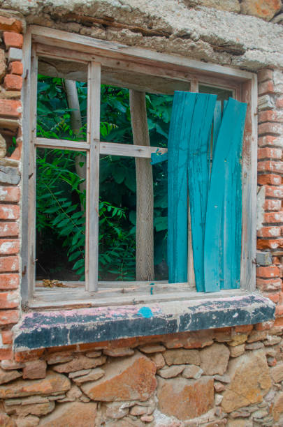 istock Abandoned House Window with Nature Integrating Inside 2163357320
