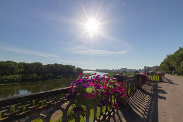 istock Morning city, flowers 2163357840