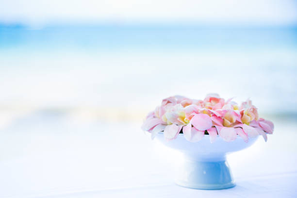 Pancratium maritimum, wild plant blooming, white flower, sandy beach background. Sea pancratium lily. Pancratium maritimum on Mediterranean sea beach nature. Sand lily or Sea daffodil closeup view.