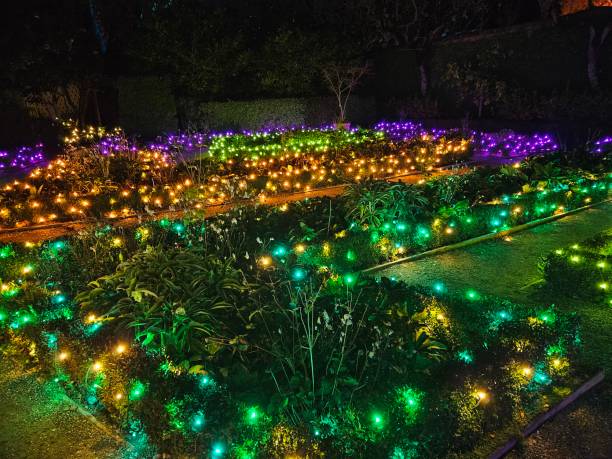 istock light decorations in a San Francisco garden at night during new year holidays 2163358806