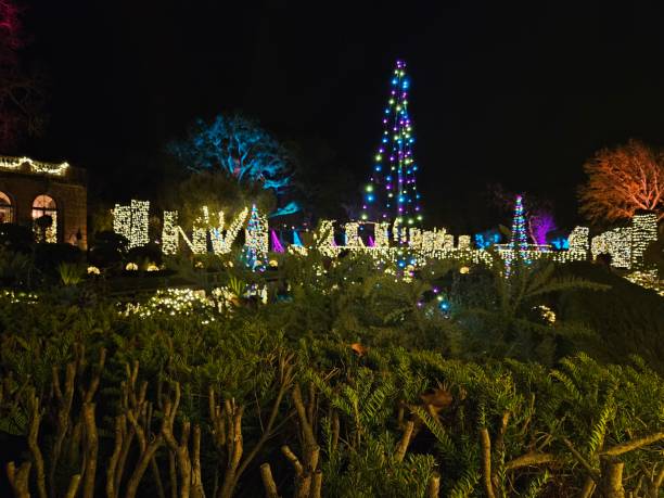 istock light decorations in a San Francisco garden at night during new year holidays 2163358817