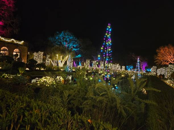 istock light decorations in a San Francisco garden at night during new year holidays 2163358819