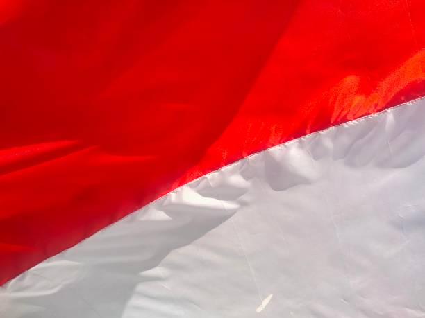 istock Red and White Shining Welcoming Independence Day 2163360378