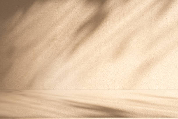 istock Studio style background wall decoration presentation uses white and beige tones. with shadows cast from a nearby window, concept creating a decorative 2163361475