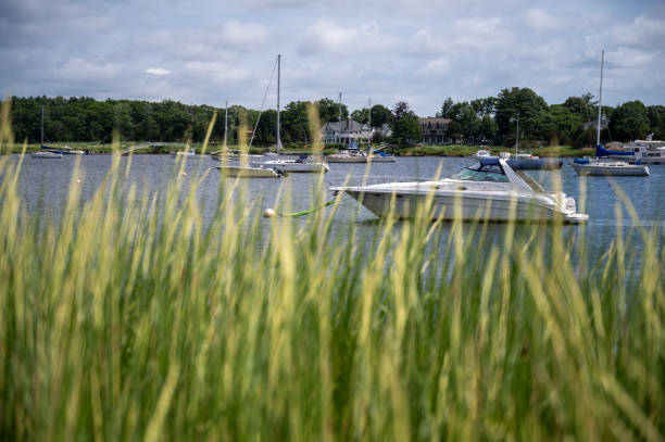 Boats on the Merrimack river seen through high herbs in Newburyport, Massachusetts, during summer day.
