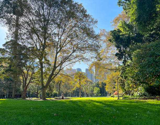 Green field park in downtown Sydney