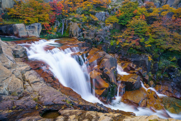 Los Glaciares National Park