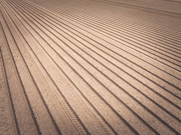 istock Agricutlural fields with cultivated soil during springtime seen from above 2163388489