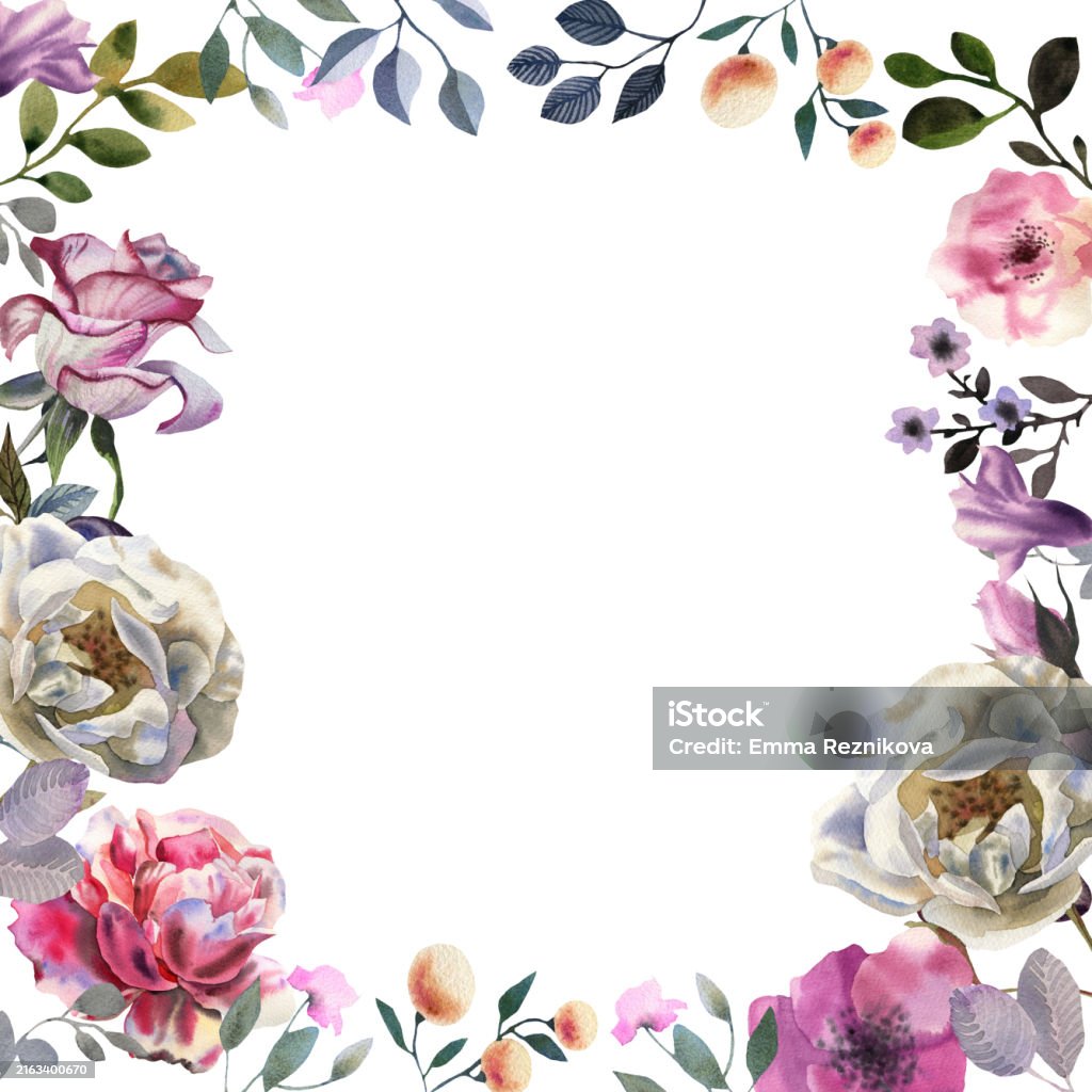 Drawn Roses Frame Hand Drawn Watercolor Rose Frame Stock Illustration - Download Image ...