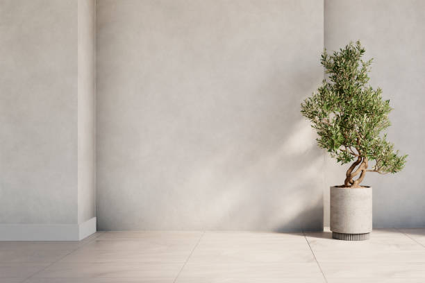 istock Minimal interior design with empty concrete wall in luxury modern villa. Elegant architecture background in neutral style. 2163404336