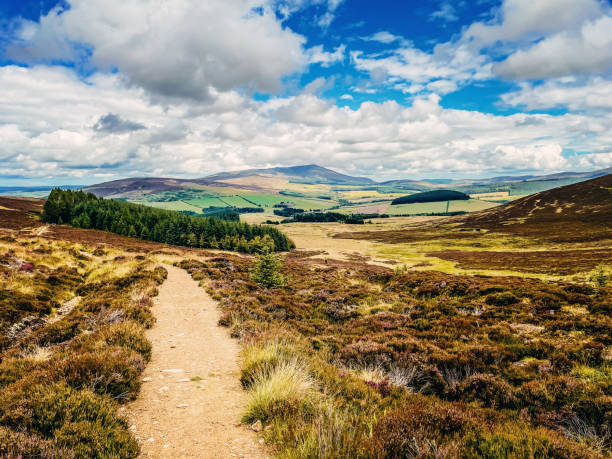 View on a summers day from the GlenLivet region of Scotland. Better known for its world famous whisky, the distillery is surrounded by hills which look uninspiring to the casual visitor, yet reach deeper into the soul. The distant mountain is called Ben Rinnes.