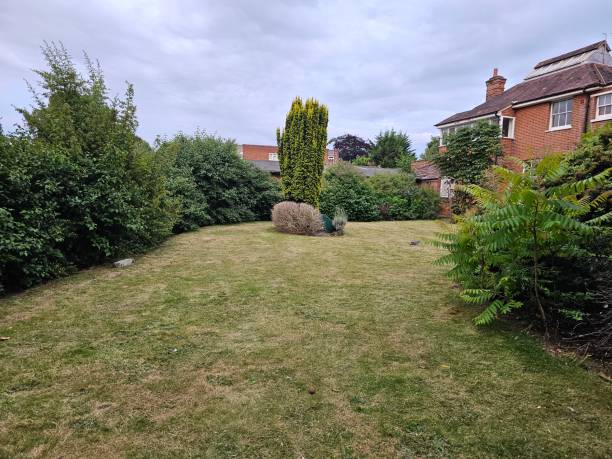 istock A yard with bushes and trees under the blue and cloudy sky 2163412804