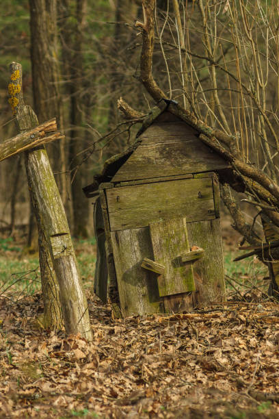 istock Old wooden and abandoned beehive. 2163413883