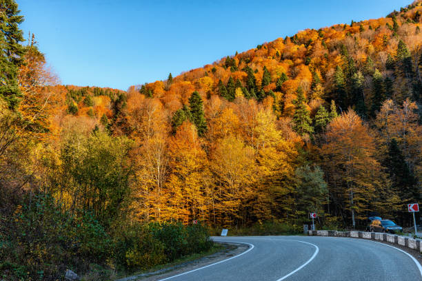 istock Highway road with a sharp turn among the autumn forest in Adygea 2163415487