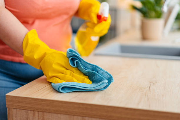 istock Young Woman Cleaning Her Kitchen At Home 2163418105