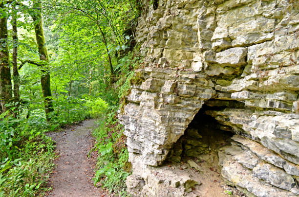 istock wutach gorge in the black forest 2163422344