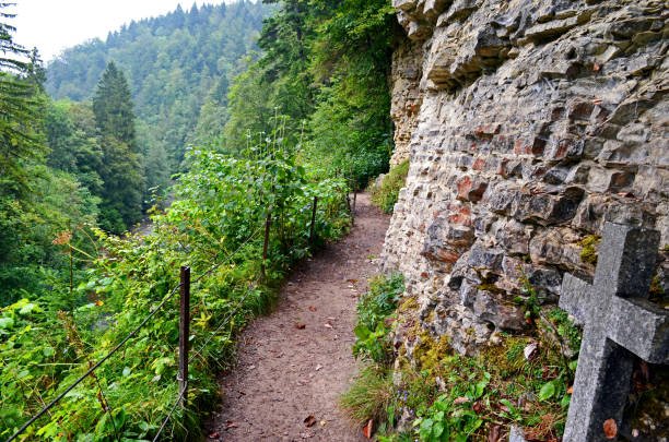 a typical german green landscape