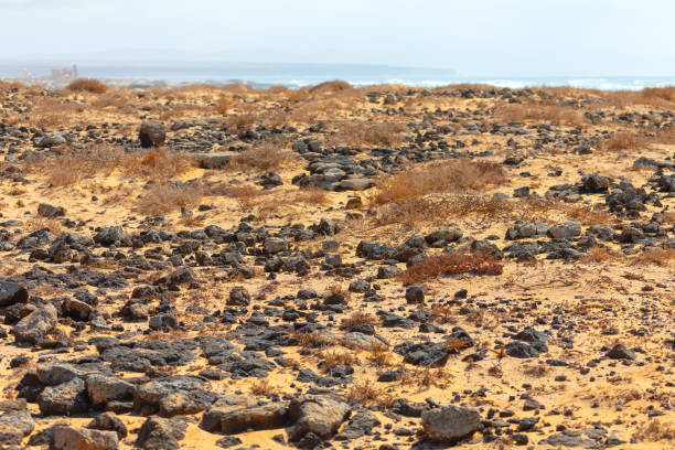 Volcanic, rocky landscape on Fuerteventura resembling Mars, with barren stone ground, mineral textures and arid terrain. Concept of drought, geology, nature, isolation and extreme environment.