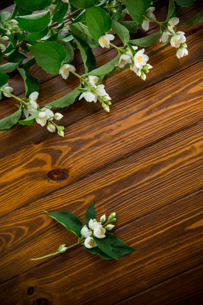 istock wooden dark background with white jasmine flowers 2163423164