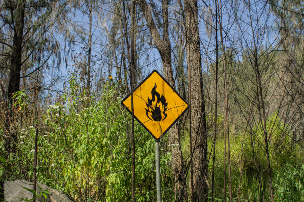 istock Fire hazard sign in mountain forest near waterfall 2163424506