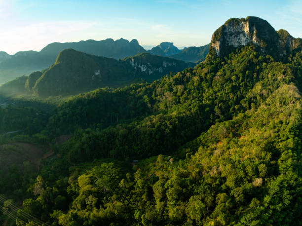 istock Aerial view Tropical Rainforest trees mountains 2163426078