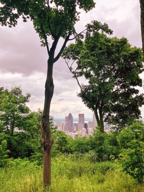 istock The panoramic view of Montreal city 2163430746