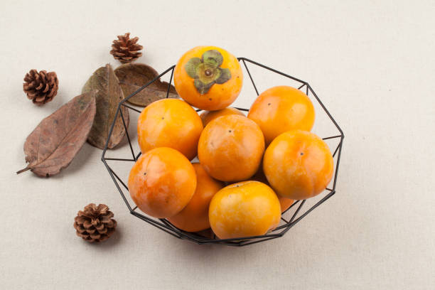Persimmon tree is a deciduous tree of the persimmon family. The height is about 10 meters, and the leaves are alternate and broadly oval shaped. . The fruit is called ‘persimmon’ and is eaten plain or used to make dried persimmons, and the wood is used as a furniture material. As one of the fruit trees, it is distributed in the central and southern regions of Korea, Japan, and China.