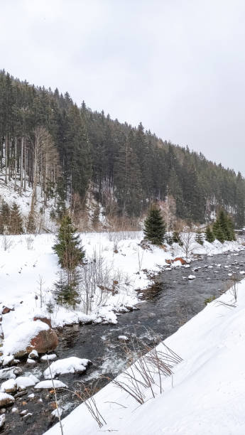 istock A snow-covered river flows through a wintery forest Snow White mountain 2163438331