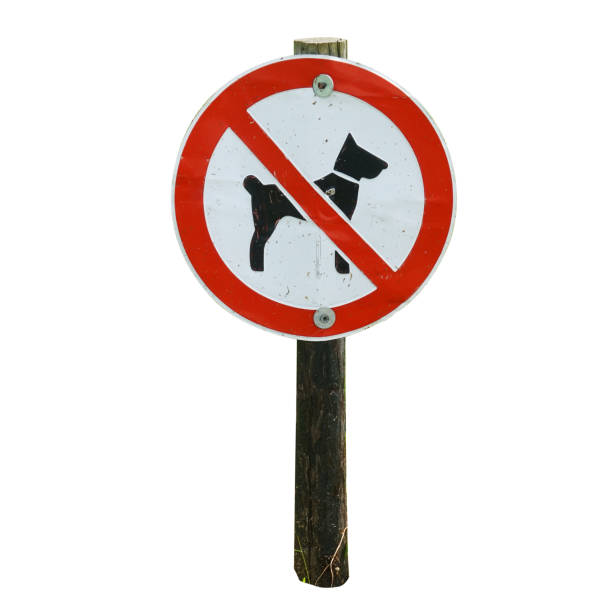 A red and white sign with a crossed out dog icon indicates that \