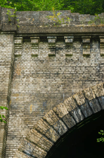 istock old brick arch of tunnel in forest 2163452100