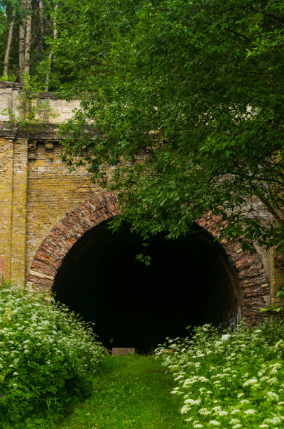 istock An old brick tunnel in the countryside 2163452235