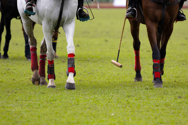 istock Polo player is using polo mallet hit polo balls during the match. 2163456745