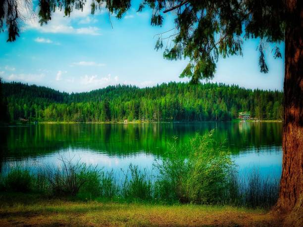 Canim Lake is a lake in British Columbia, Canada. Its west end is 36 km northeast of 100 Mile House. \