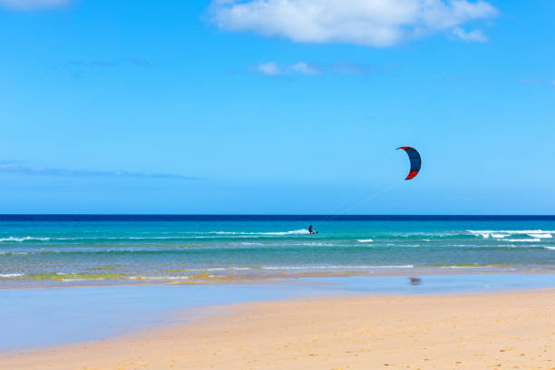 Person parasailing on beach, enjoying the view from above. Parasailer gliding over sandy beach with colorful parachute