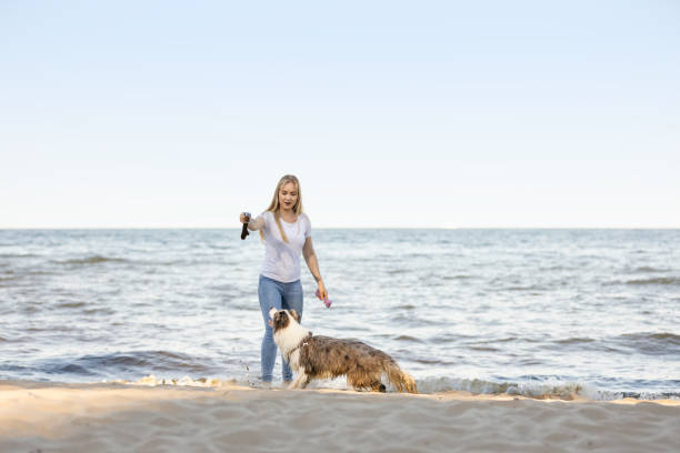 istock Young woman having fun on sandy beach with her dog catching a stick 2163465218