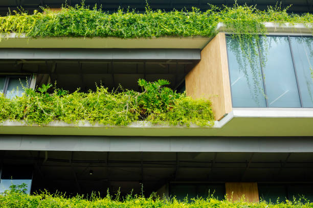 istock Plants and window of modern office building 2163467222